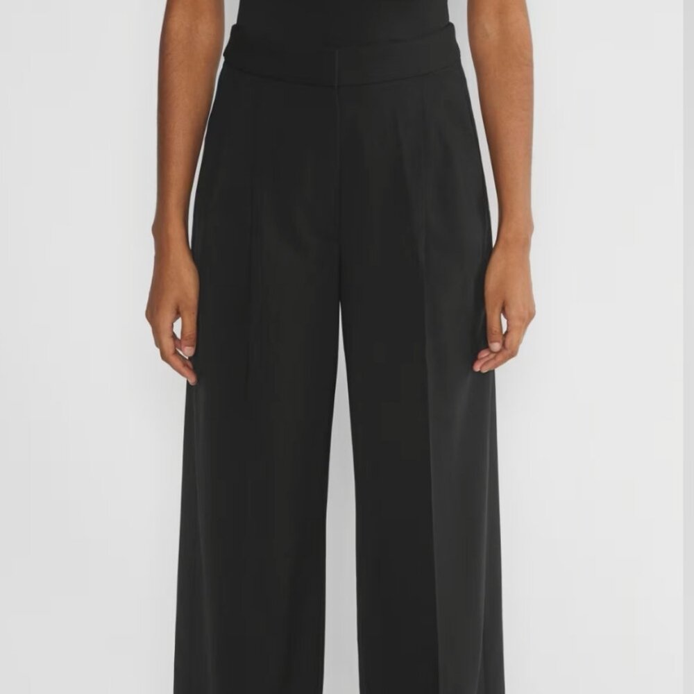 Aritzia Babaton 'Represent' Pants (NWT)